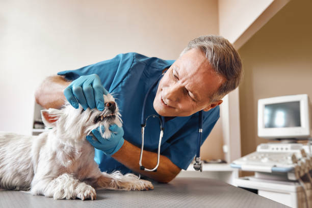 Best Urgent Care for Lost Fillings or Crowns in North Braddock, PA