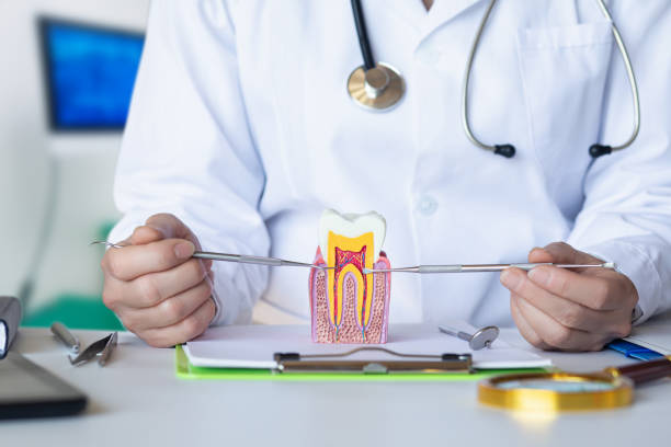 Best Emergency Tooth Extraction in North Braddock, PA